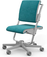 Стул Moll S6 Grey Spice Turkis