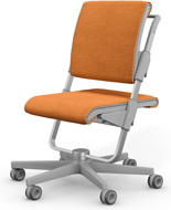 Стул Moll S6 Grey Spice Mandarine