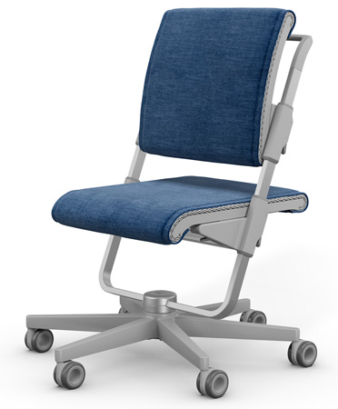 Стул Moll S6 Grey Spice Deep Blue
