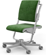 Стул Moll S6 Grey Spice Green