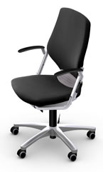 Регулируемый стул для подростка Moll Argon black/shiny silver (с подлокотниками)