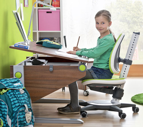 Комплект Moll Winner Compact Comfort Walnut со стулом Maximo и лампой Flexlight